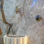 Ferienhaus Passadicos Alojamentos & Jacuzzi -