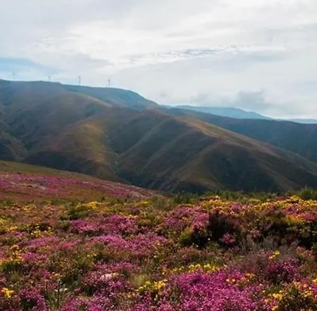 度假居 Passadicos Alojamentos & Jacuzzi