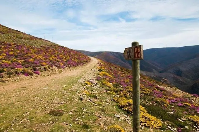 Casa vacanze Passadicos Alojamentos & Jacuzzi - Arouca