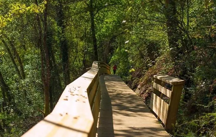 Passadicos Alojamentos & Jacuzzi -