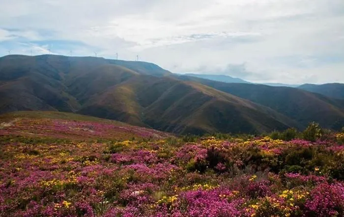 Ferienhaus Passadicos Alojamentos & Jacuzzi -